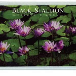 A group of purple flowers in the grass.