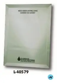 A picture of the front cover of a book.