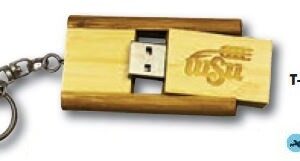 A wooden usb stick with the logo of an old school.